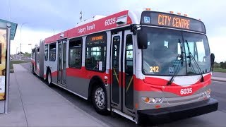 Calgary Transit 2008 New Flyer D60LFR - 6035