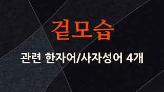 겉모습에 관한 한자어/사자성어 4개