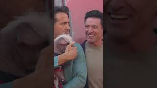 Lo sentimos, #HughJackman y #RyanReynolds, Peggy, la cachorrita, se robó el espectáculo. 🐶 #Shorts