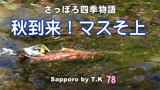 秋到来！マスそ上　 さっぽろ四季物語