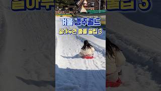 ❄️겨울 경주월드 알아두면 좋을 꿀팁 3가지❄️ #shorts