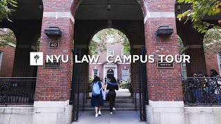Welcome to NYU Law