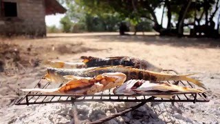 Casamance Au Présent