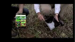 GCTV7: GRDC Weeds Mobile Phone Applications