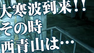 【近鉄】大寒波到来の西青山駅の様子