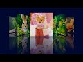 How To Make An Image Gallery With CSS Reflection | HTML, CSS & jQuery Image Gallery