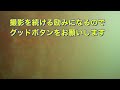 兵庫県　姫路市　中島埠頭　青物はまだまだ回ってきていないのか・・・・令和3年6月中旬