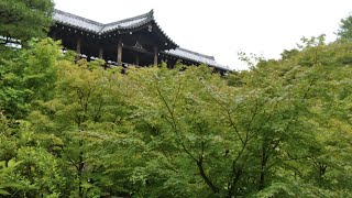 【4K】Tōfuku-ji in Kyoto, Japan【東福寺/京都/日本】