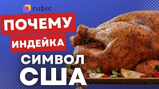 Почему индейка главное блюдо в США?  | День благодарения в Америке 2022