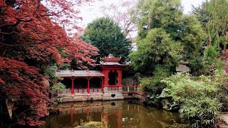 4K Biddulph Grange Garden 02.05.22 Staffordshire