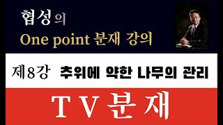 [TV분재] 협성의 One Point 분재강의 제8강 '추위에 약한 나무의 관리'