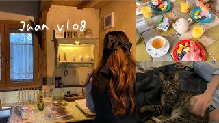 [vlog] Staying in Kita-Karuizawa🪑🍂Tsukutsukumura where you can spend time with cats🏠