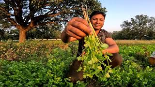 बात हो जब गांव की तो ऐसा गांव कहीं और नहीं | village life | village tour | farmer life | bhopal vlog