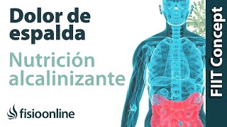 Nutrición alcalinizante y dolor de espalda, muscular y articular