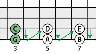 【キー】を#と♭の数で判断する方法【Guitar Bass】