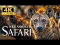The Ultimate Predator in Wild Animals   - Beautiful Animals Movie with Smooth Relax Piano Music