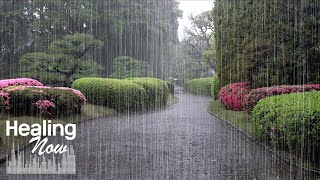 Heavy rain sounds that help you forget worries and fall asleep comfortably - End insomnia, Study