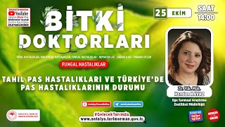 Bitki Doktorları 104 - Tahıl Pas Hastalıkları ve Türkiye'de Pas Hastalıklarının Durumu