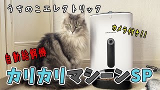 【カメラ付き自動給餌機】カリカリマシーンSPを導入してみました！猫グッズオススメ ノルウェージャンフォレストキャット