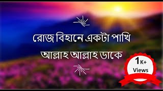 রোজ বিহানে একটা পাখি আল্লাহ আল্লাহ ডাকে with Lyrics