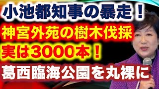 小池百合子都知事の暴走！【神宮外苑の樹木伐採は実は3000本！】次なる目標は葛西臨海公園を丸裸に太陽光発電パネルを貼る為に1400本を伐採！【龍之介channel（高倉龍之介）】