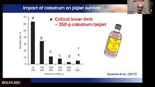 Colostrum production of sows–when and how is it produced?