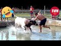 Funny & Hilarious People's Life 😂 #167 - Try not to Laugh | Best Funny Videos 2024