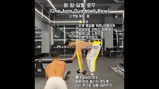 원 암 덤벨 로우(One Arm Dumbbell Row) 헬린이를 위한 20초 포인트 영상