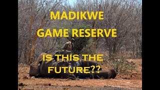 Madikwe reserve - crisis in motion examined - conservation talk