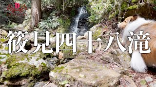 関西屈指の森林浴スポット【ささ見四十八滝（兵庫県丹波篠山市）】犬を連れて行ってみた。