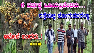 High expenditure areca nut farm has heavy problems? ಅಧಿಕ ಖರ್ಚು ಮಾಡಿದ ಅಡಿಕೆ ತೋಟದಲ್ಲಿ ಹೆಚ್ಚು ಸಮಸ್ಯೆ..!