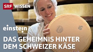 Schweizer Käse: Was macht Gruyère und Co. so einzigartig? | Einstein | SRF Wissen