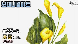 [Flower Draw/Botanical Art] #35-2. Calla Colored Pencil Drawing (Flower Drawing Lesson)