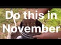 Soil amendments.Do this in November  containers gardening . Planter garden tv