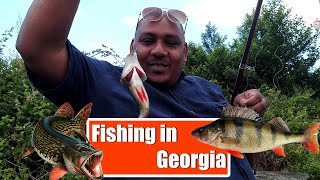 ജോർജിയയിൽ ഒരു മീൻ പിടുത്തം  II Georgia Lake Fishing II Fishing in Georgia