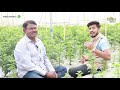 झेंडूच्या बिज उत्पादनातून अर्धा एकरात 18 लाख रु. marigold flower seed production shivar news 24