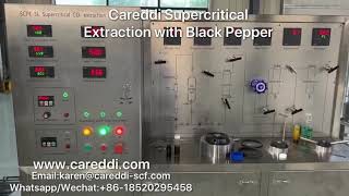 Model 5L(5liter x 1) Careddi Supercritical CO2 Extraction Machine for Black Pepper