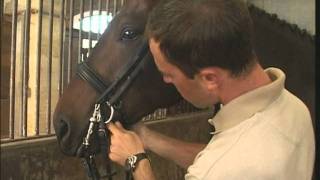 Mettre et ajuster une bride à son cheval