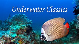 Underwater Classics - LISTEN TO CLASSICAL FAVORITES W/AMAZING UNDERWATER SCENES! -  Relax-TV 4K