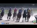 2023年2月5日（日）東京3r 3歳新馬レース映像【サンライズフレイム】