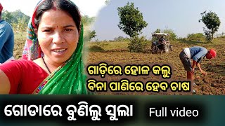 ଟ୍ରାକ୍ଟର ଗାଡ଼ିରେ ହୋଳ କଲୁ ବିନା ପାଣିରେ ହେବ ଚାଷ // ସୁଲା ଚାଷ // ଆସନ୍ତୁ ଦେଖିବା ଗୋଡାରେ ବୁଣିଲୁ କେତେ ସୁଲା