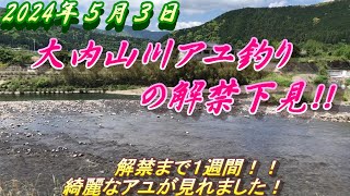 三重県もいよいよラスト１週間でアユ釣り解禁！大内山川の下見に行って来ました。＃アユ釣り＃２０２４年大内山川