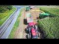 Custom Carting Silage Harvest Part 1