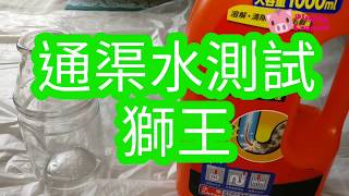 獅王 通渠佬 通渠水 得唔得？有用嗎？ 進來看實驗！ -㊙️訂閱