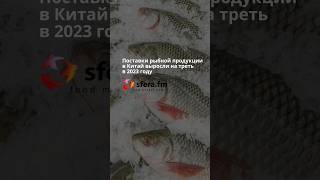 Поставки рыбной продукции в Китай выросли на треть в 2023 году