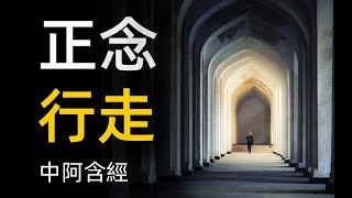 中阿含經講解01 正念行走 正念冥想 禪定禪修四念處 四念住 生活中保持正念 念處經 長部 大念處經