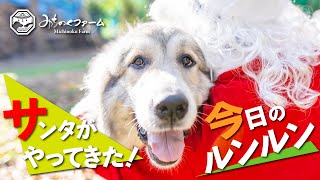 【今日のルンルン】みちのくサンタがやってきた