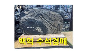 수석경매 산해수석 / 백억수석 경매 25년1월17일(금) 오후 6시30분 방송 실시간 경매 라이브 지금실시간방송 #수석경매  수석경매장 최고의수석