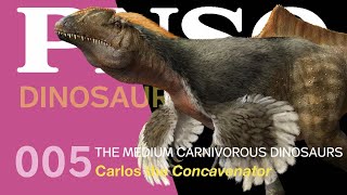 005 Carlos the Concavenator | The Medium Carnivorous Dinosaurs | PNSO DINOSAUR MUSEUM Season II