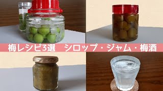 簡単梅シロップ/さっぱり梅酒の作り方/すぐ飲める梅ジュース/梅の甘露煮/残りで梅ジャム/青梅